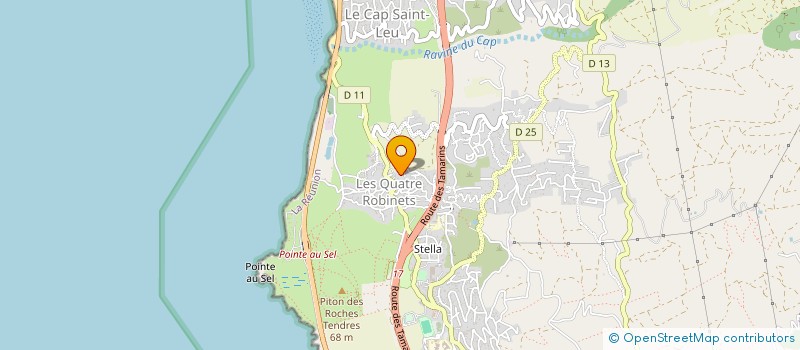 localisation de l'entreprise IEMANJA  SAINT-LEU