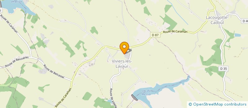 localisation de l'entreprise IFA INVEST  VIVIERS-LES-LAVAUR