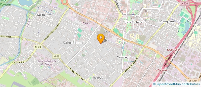 localisation de l'entreprise IGGYDODIE à TOULOUSE