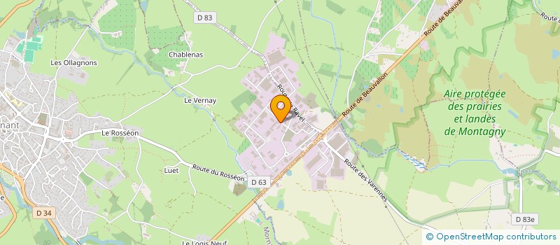 localisation de l'entreprise IKAROS  MORNANT