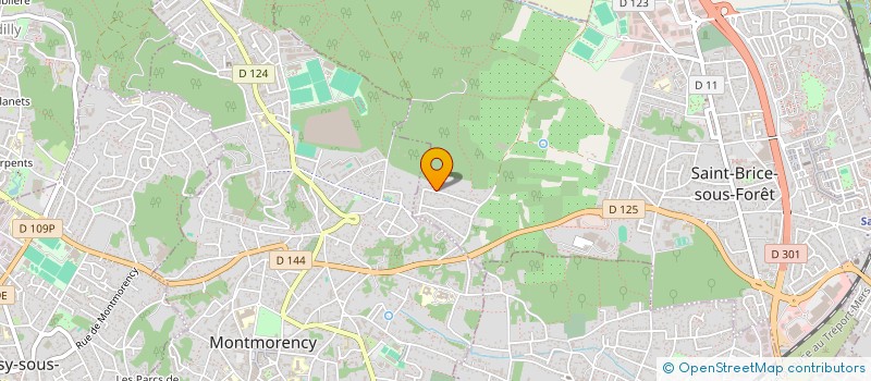 localisation de l'entreprise IKIGAI SERVICES  SAINT-BRICE-SOUS-FORET