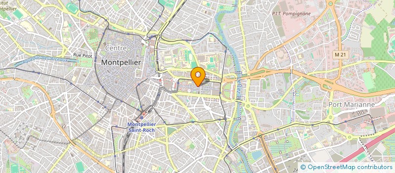 localisation de l'entreprise IL GALLO PICCOLO à MONTPELLIER