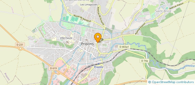 localisation de l'entreprise IL VESUVIANO à PROVINS