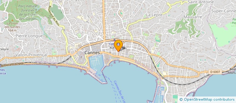 localisation de l'entreprise ILAAYO à CANNES