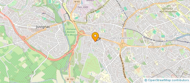 localisation de l'entreprise ILI MOSAIQUE à MONTPELLIER