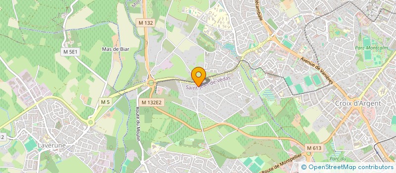 localisation de l'entreprise ILYANA  SAINT-JEAN-DE-VEDAS