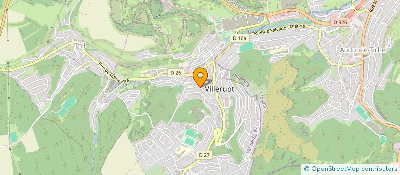 localisation de l'entreprise IMAGERIE AVICENNE FRANCE  VILLERUPT