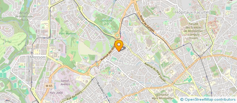 localisation de l'entreprise IMAGES PRISES AUX MOTS à MONTPELLIER