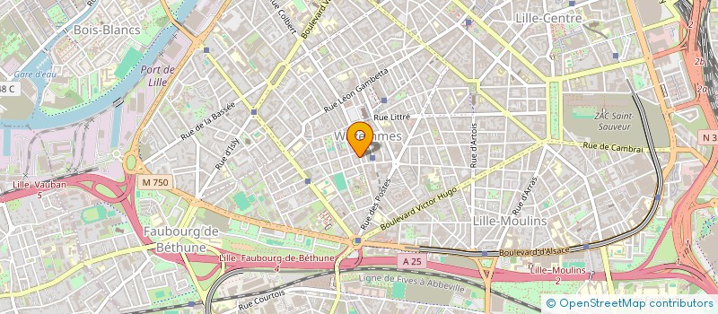 localisation de l'entreprise IMANA  LILLE