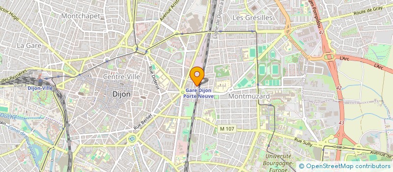 localisation de l'entreprise IMBERT ROY  DIJON