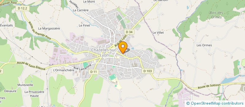 localisation de l'entreprise IMC IMMO  CHAZELLES-SUR-LYON