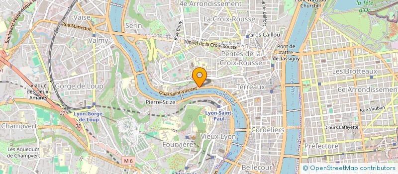 localisation de l'entreprise IMMARCESCIBLE ET FLAVESCENT à LYON