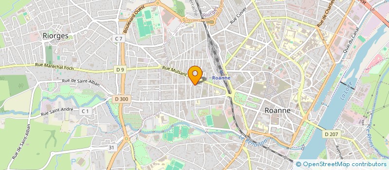 localisation de l'entreprise IMMEUBLE 10 RUE FERDINAND BUISSON  ROANNE