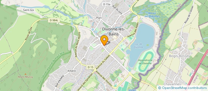 localisation de l'entreprise IMMEUBLE LES EAUX VIVES à DIVONNE-LES-BAINS
