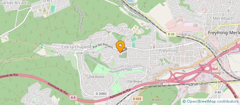 localisation de l'entreprise IMMO BLINGER  FREYMING-MERLEBACH