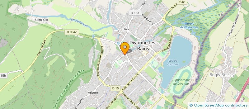 localisation de l'entreprise IMMO CONSEIL à DIVONNE-LES-BAINS