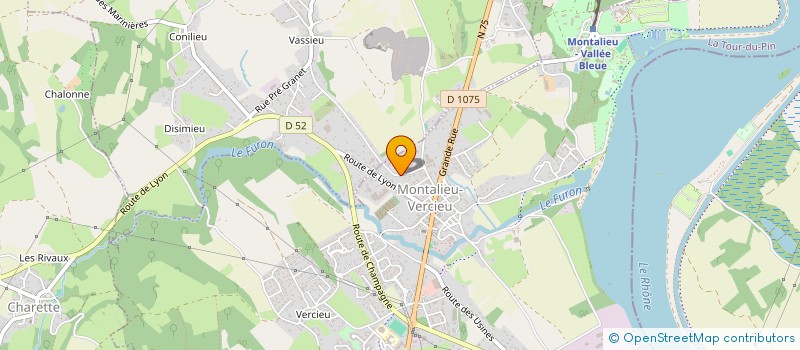 localisation de l'entreprise IMMO DE VASSIEU  MONTALIEU-VERCIEU