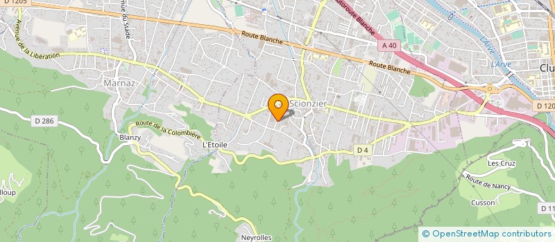 localisation de l'entreprise IMMO INVEST  SCIONZIER