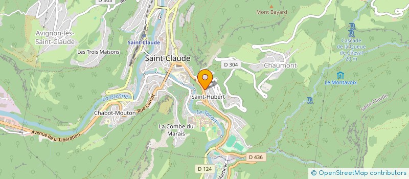 localisation de l'entreprise IMMO JANNET 2000  CHAMPAGNOLE