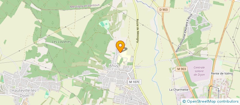 localisation de l'entreprise IMMO LDS  FONTAINE-LES-DIJON