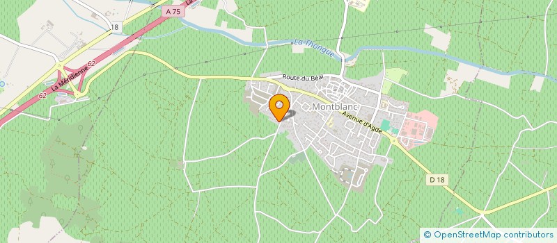 localisation de l'entreprise IMMO MIDI à ALIGNAN-DU-VENT