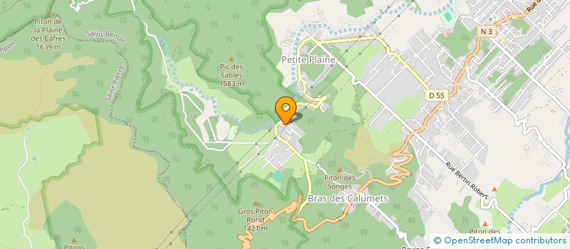 localisation de l'entreprise IMMO N.G.  LA PLAINE-DES-PALMISTES