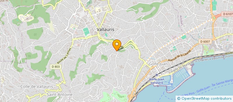 localisation de l'entreprise IMMO PLATINIUM à VALLAURIS
