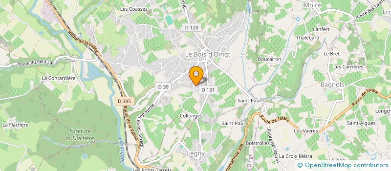 localisation de l'entreprise IMMO RAYNARD  VAL D'OINGT