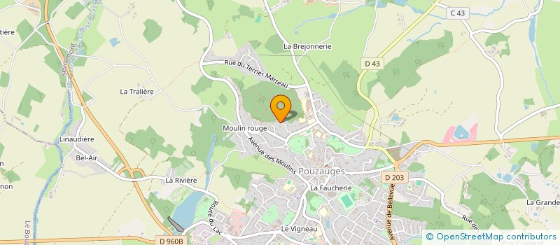 localisation de l'entreprise IMMO RIBEIRO/VINCENT&CO  POUZAUGES