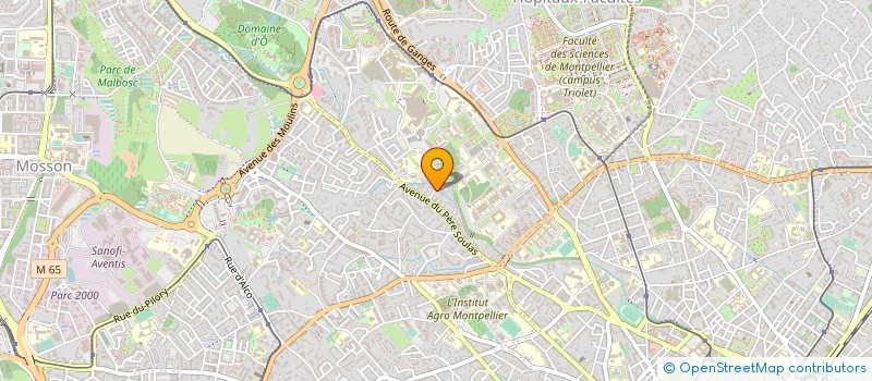 localisation de l'entreprise IMMO SERVICES à MONTPELLIER