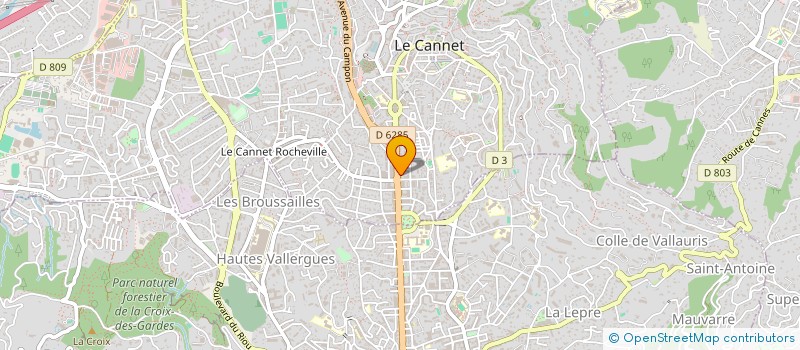 localisation de l'entreprise IMMOBILIER 1705 à LE CANNET