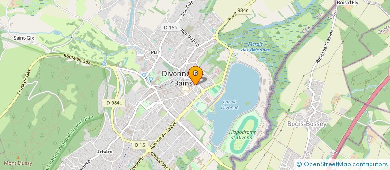 localisation de l'entreprise IMMOBILIER DU LEMAN  DIVONNE-LES-BAINS