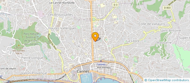 localisation de l'entreprise IMMOBILIER FINANCE CONSEILS  CANNES