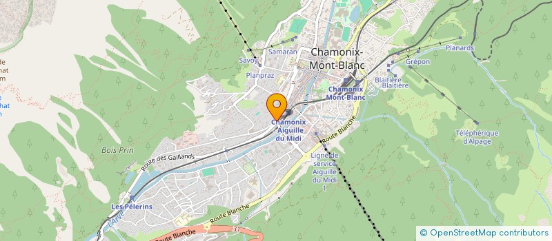 localisation de l'entreprise IMMOBILIER PHARMACIE DU MONT-BLANC à CHAMONIX-MONT-BLANC