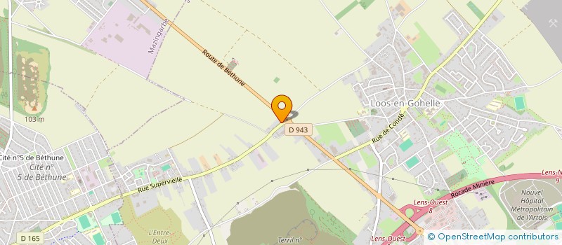 localisation de l'entreprise IMMOBILIER SERVICE  LOOS-EN-GOHELLE