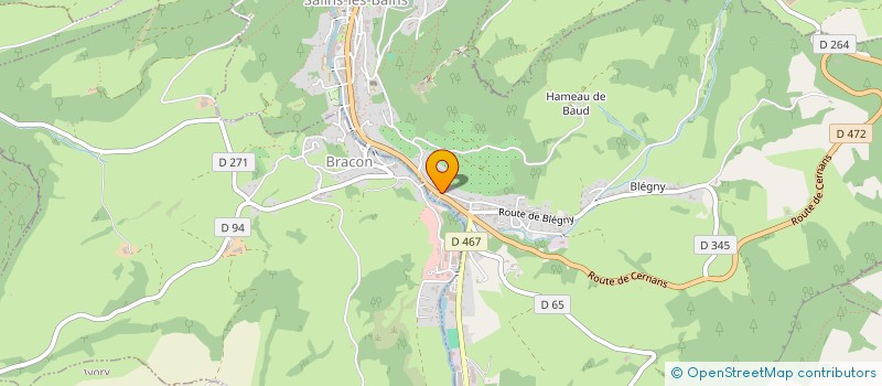 localisation de l'entreprise IMMOBILIERE BON  ANDELOT-EN-MONTAGNE