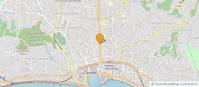 localisation de l'entreprise IMMOBILIERE CARNOT à CANNES