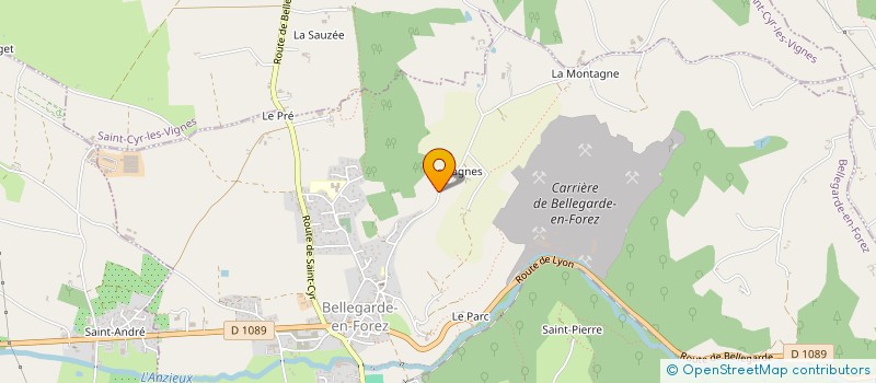 localisation de l'entreprise IMMOBILIERE DES SAGNES  BELLEGARDE-EN-FOREZ