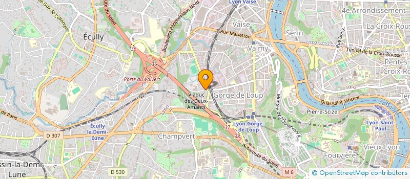 localisation de l'entreprise IMMOBILIERE FRANCOIS JACINTHE FATIMA  LYON