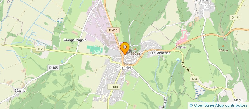 localisation de l'entreprise IMMOBILIERE GOYET  ORGELET