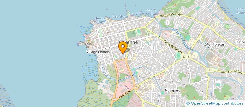 localisation de l'entreprise IMMOBILIERE MEDICALE AMAZONIENNE  CAYENNE