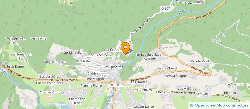 localisation de l'entreprise IMMOBILIERE TD  TANINGES