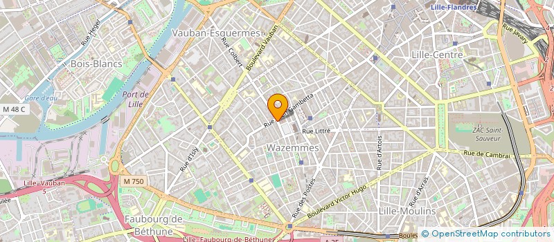localisation de l'entreprise IMMOLOU à LILLE