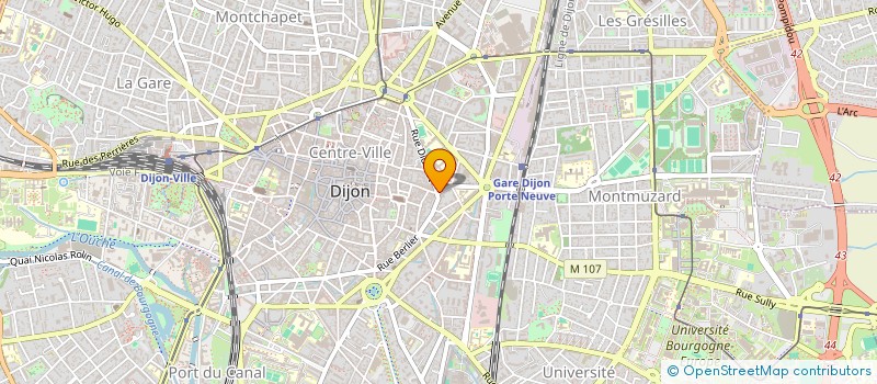 localisation de l'entreprise IMMOPARK à DIJON