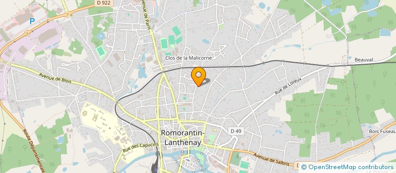 localisation de l'entreprise IMMOPEIN  ROMORANTIN-LANTHENAY