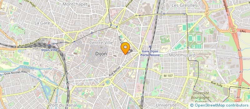 localisation de l'entreprise IMMOPHARM à DIJON