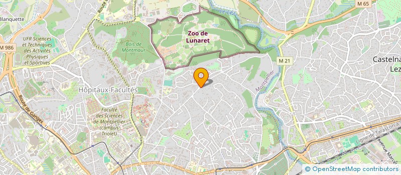 localisation de l'entreprise IMMOPLUS PATRIMOINE à MONTPELLIER