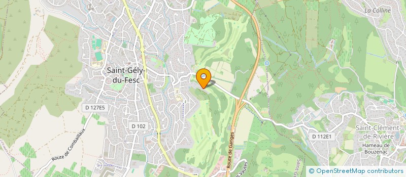 localisation de l'entreprise IMMOPROJECT  SAINT-GELY-DU-FESC