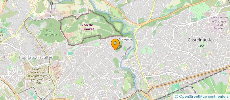 localisation de l'entreprise IMMORG  MONTPELLIER