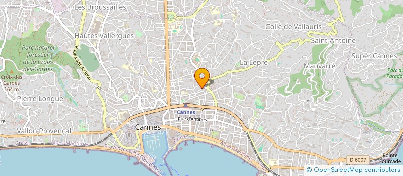 localisation de l'entreprise IMPASSE DENANS  CANNES